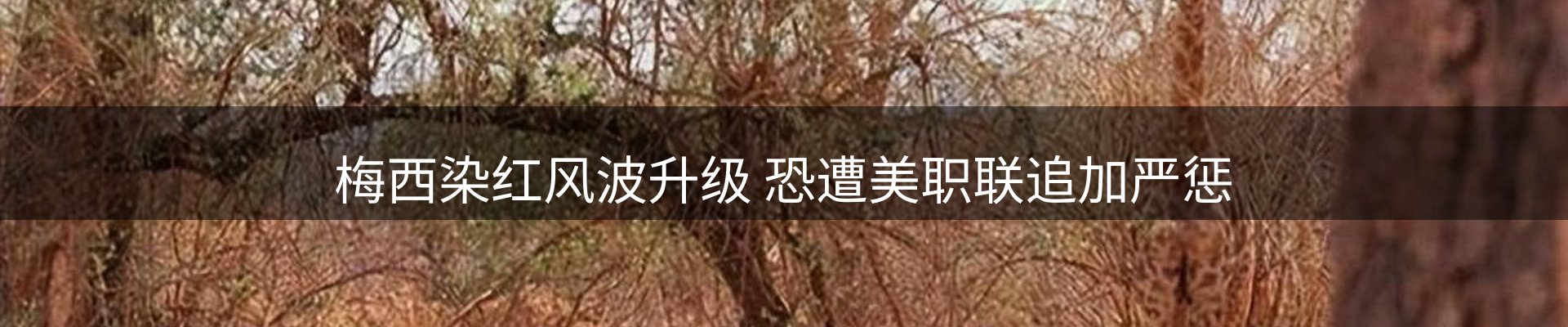 内页banner